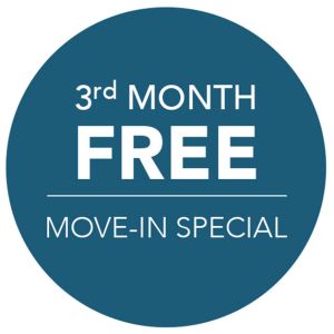 3rd month free move-in special